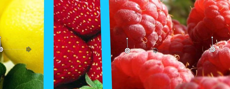 1559785647854669.jpeg 02.jpg